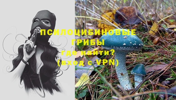 метадон Алексеевка