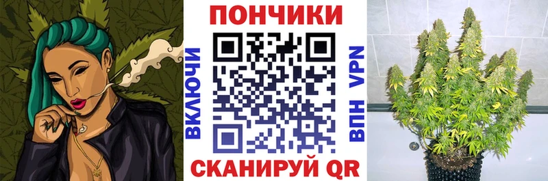 Шишки марихуана индика  Киселёвск 